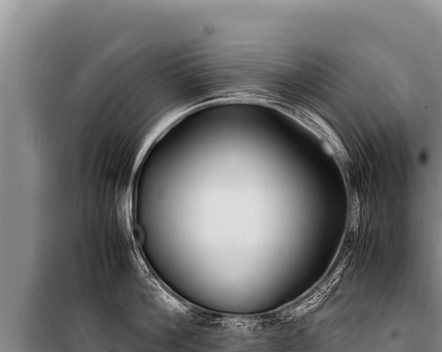 X0000100860812200806271158