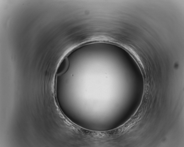 X0000100860815200806271158