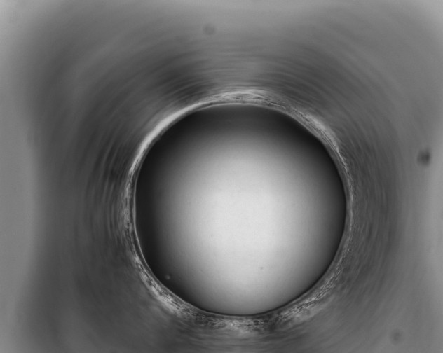 X0000100860816200806271158