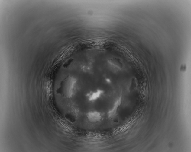 X0000100860818200806271158