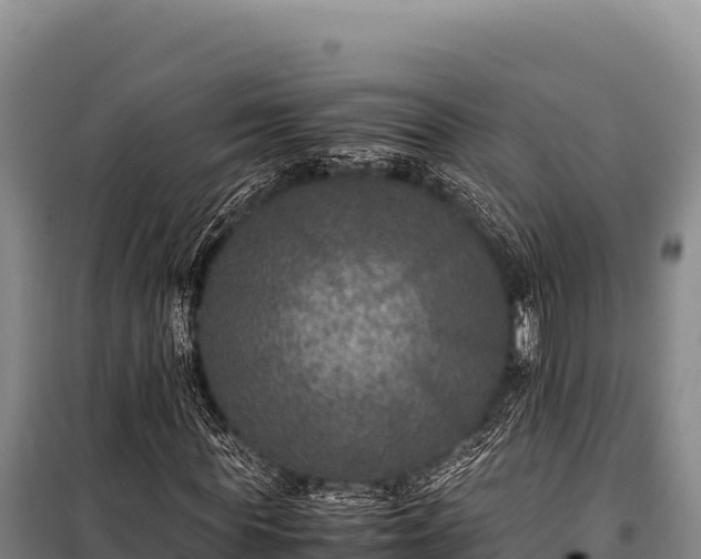 X0000100860819200806271158