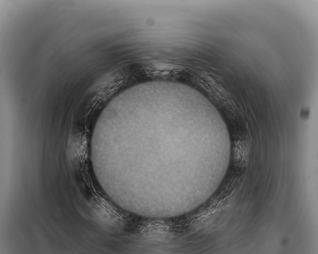 X0000100860820200806271158