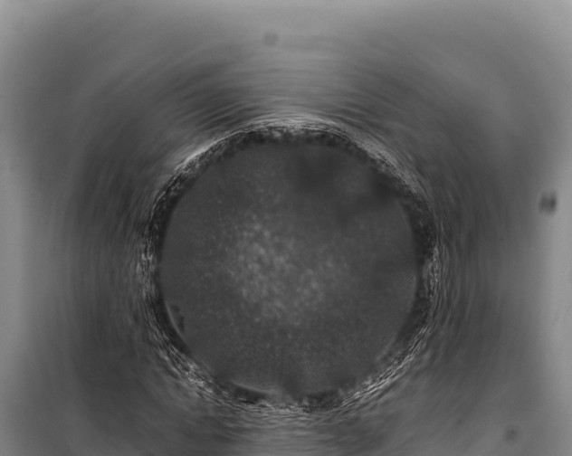 X0000100860822200806271158