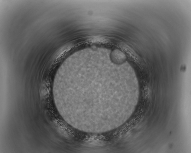 X0000100860824200806271158