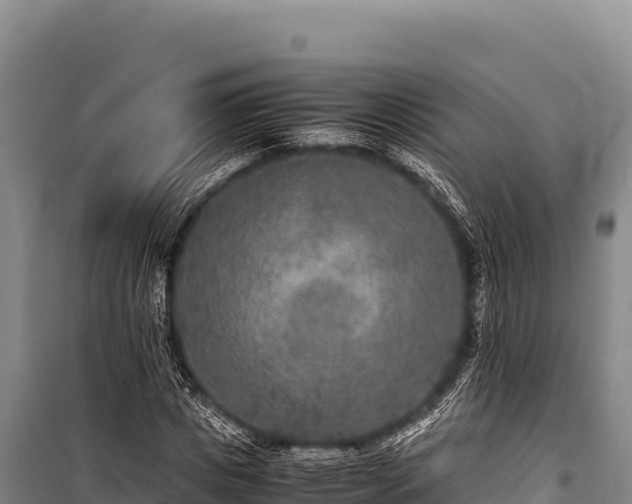 X0000100860825200806271158