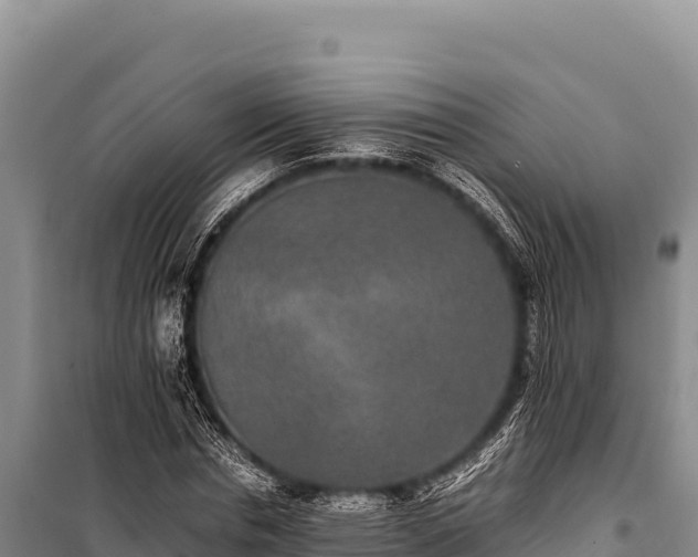 X0000100860826200806271158