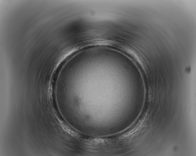 X0000100860827200806271158