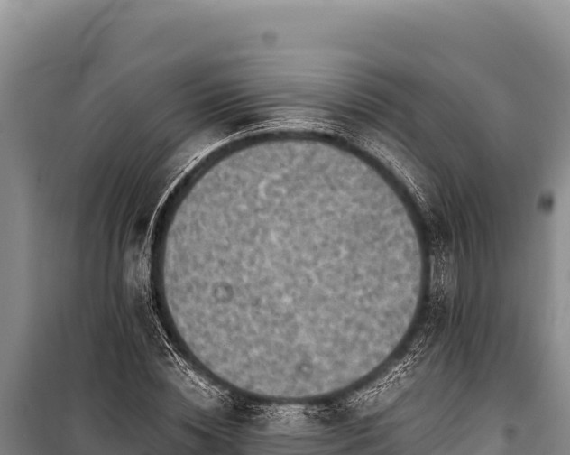 X0000100860828200806271158