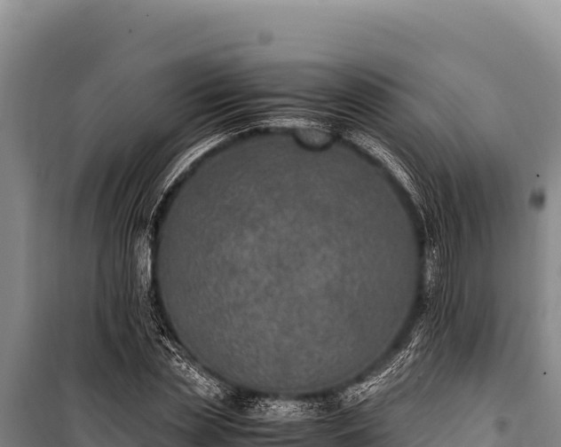 X0000100860829200806271158