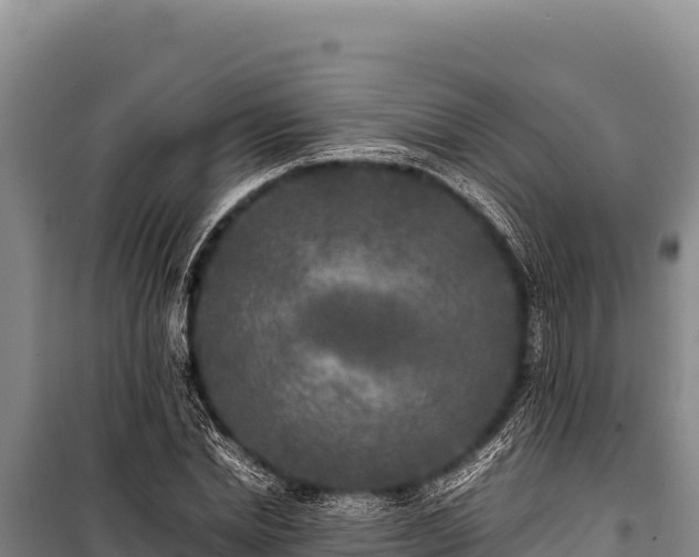 X0000100860830200806271158