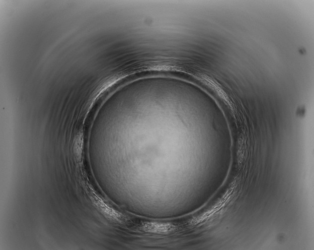 X0000100860831200806271158