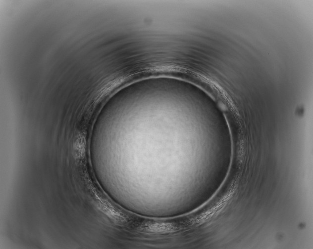 X0000100860833200806271158