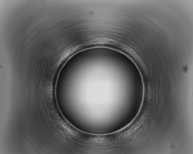 X0000100860834200806271158