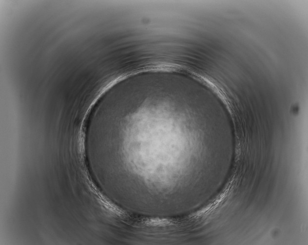 X0000100860835200806271158