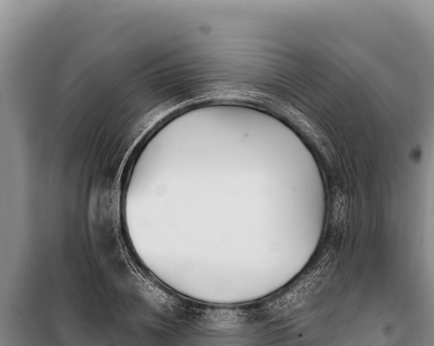 X0000100860836200806271158