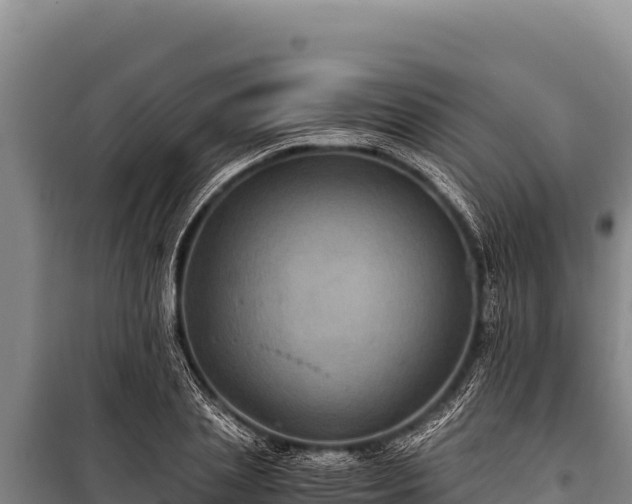 X0000100860837200806271158