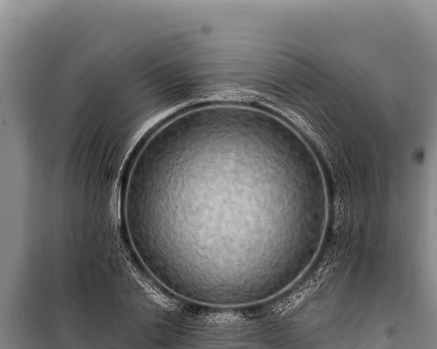 X0000100860838200806271158