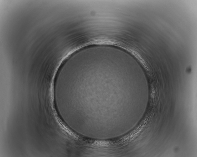 X0000100860840200806271158