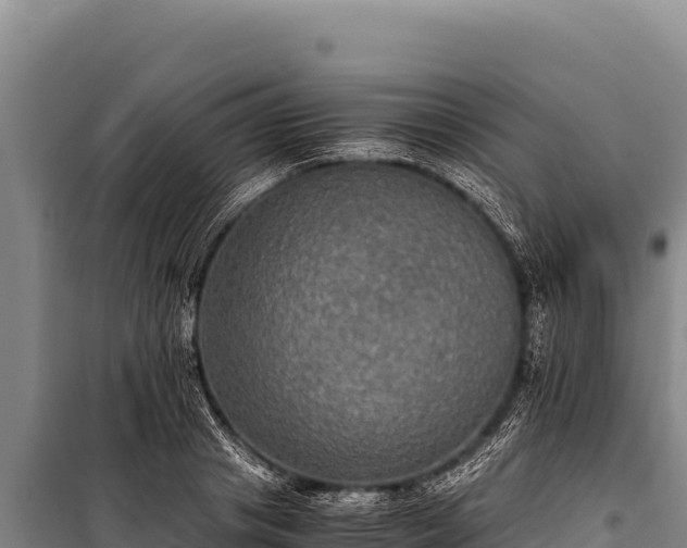 X0000100860841200806271158