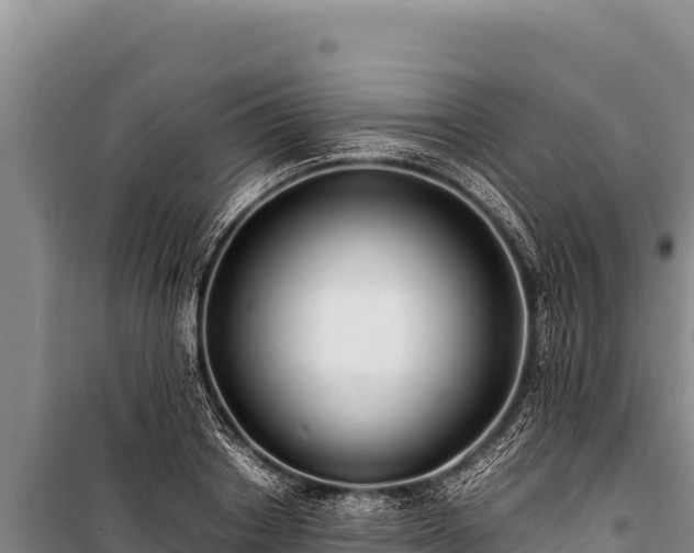 X0000100860842200806271158