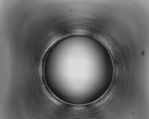 X0000100860843200806271158