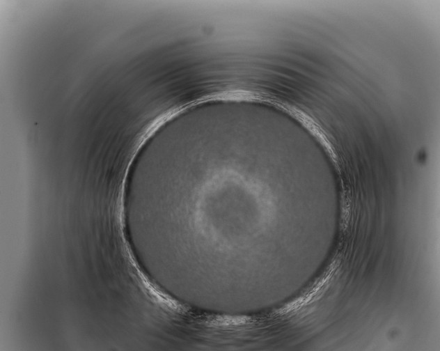 X0000100860845200806271158