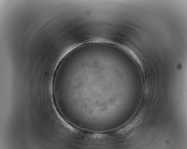 X0000100860847200806271158