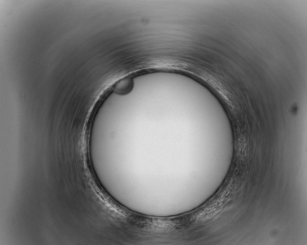 X0000100860848200806271158