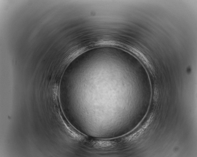 X0000100860849200806271158