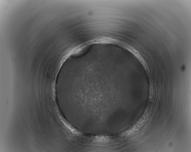 X0000100860850200806271158