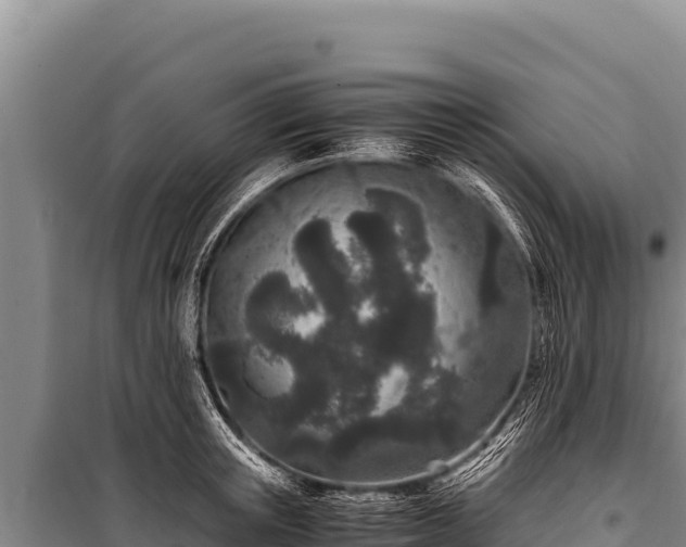 X0000100860851200806271158