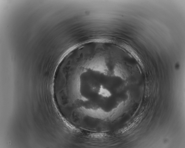 X0000100860853200806271158