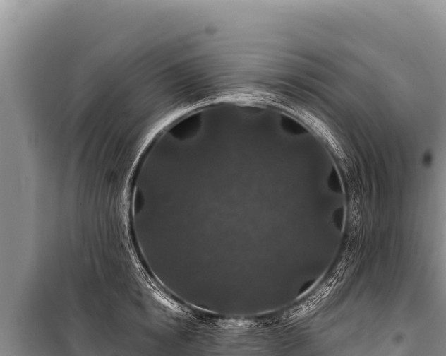 X0000100860854200806271158