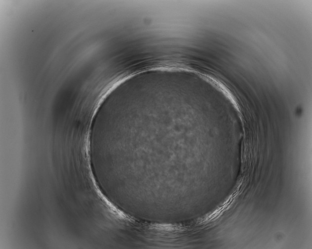 X0000100860855200806271158