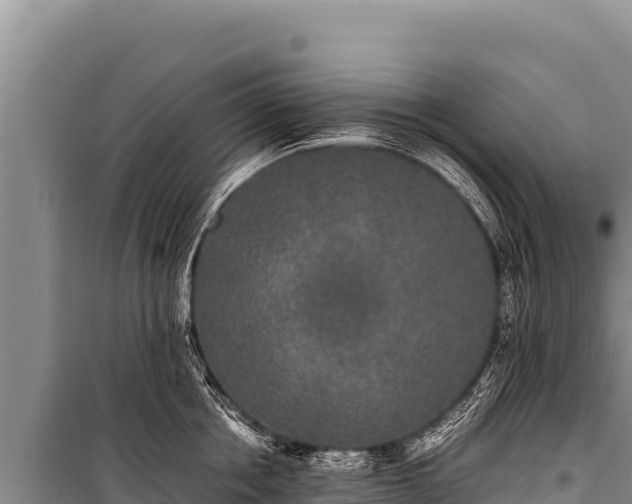 X0000100860858200806271158