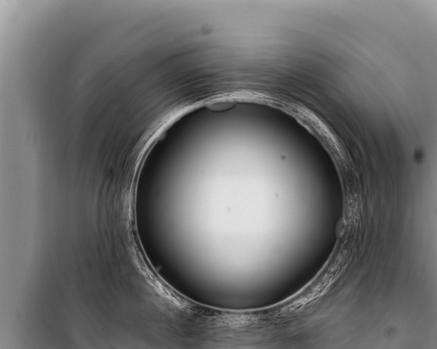 X0000100860860200806271158