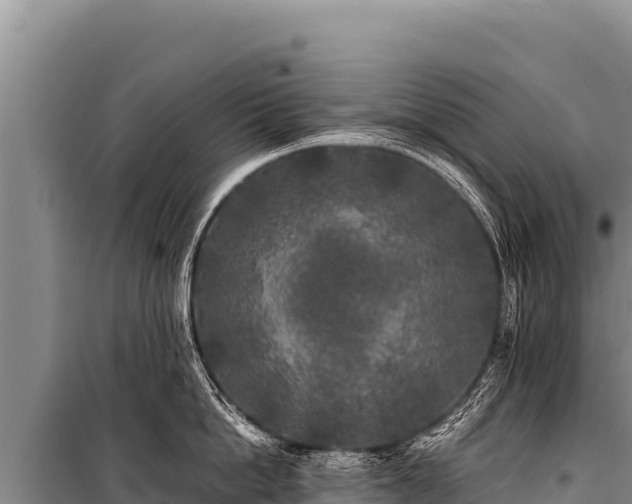 X0000100860862200806271158