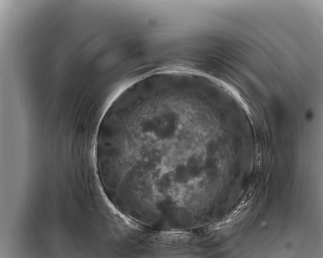 X0000100860863200806271158