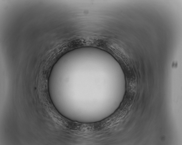 X0000100860865200806271158