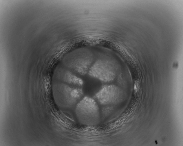 X0000100860867200806271158