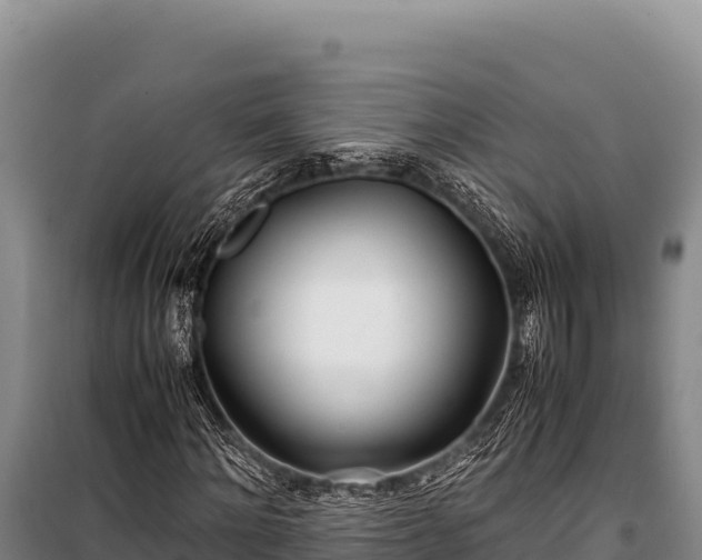 X0000100860868200806271158