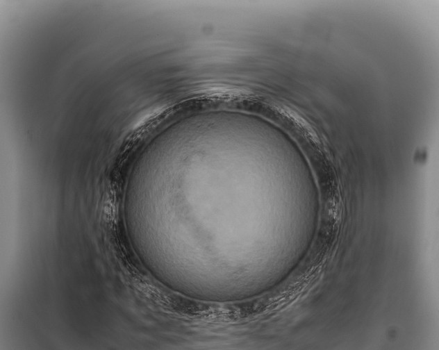 X0000100860869200806271158