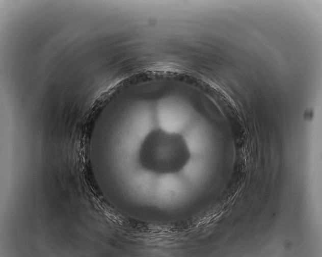 X0000100860870200806271158