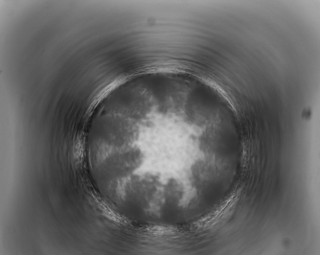 X0000100860874200806271157