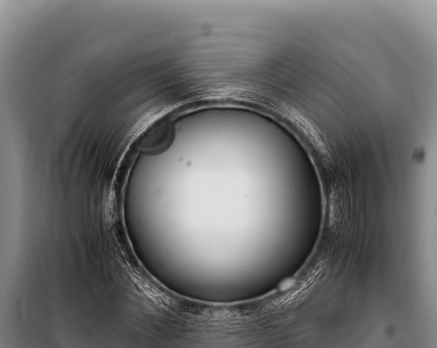 X0000100860876200806271157