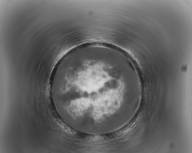 X0000100860879200806271157