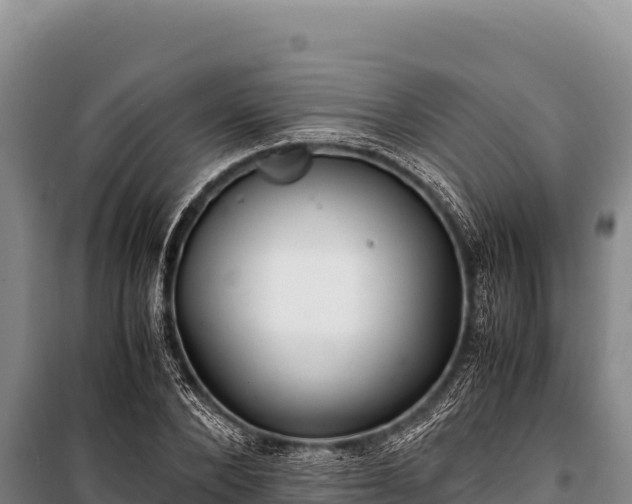 X0000100860880200806271157