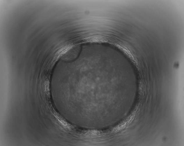 X0000100860881200806271157