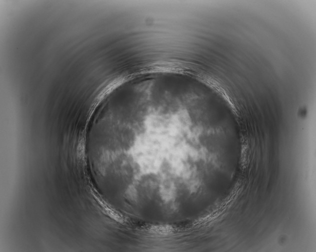 X0000100860882200806271157