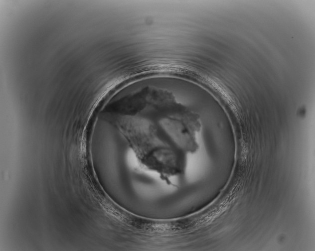 X0000100860883200806271157